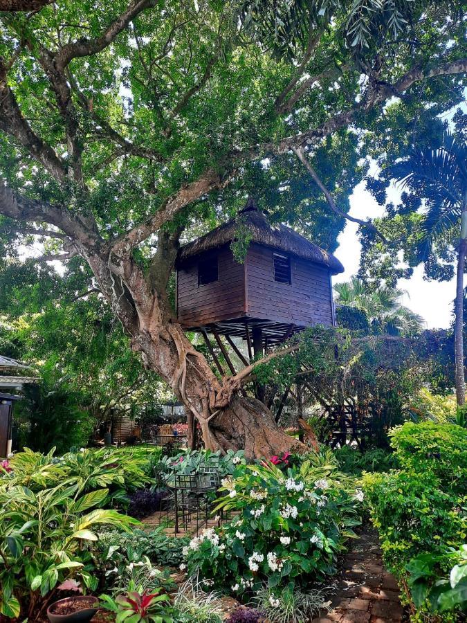 Tree Lodge Mauritius Belle Mare Exteriör bild