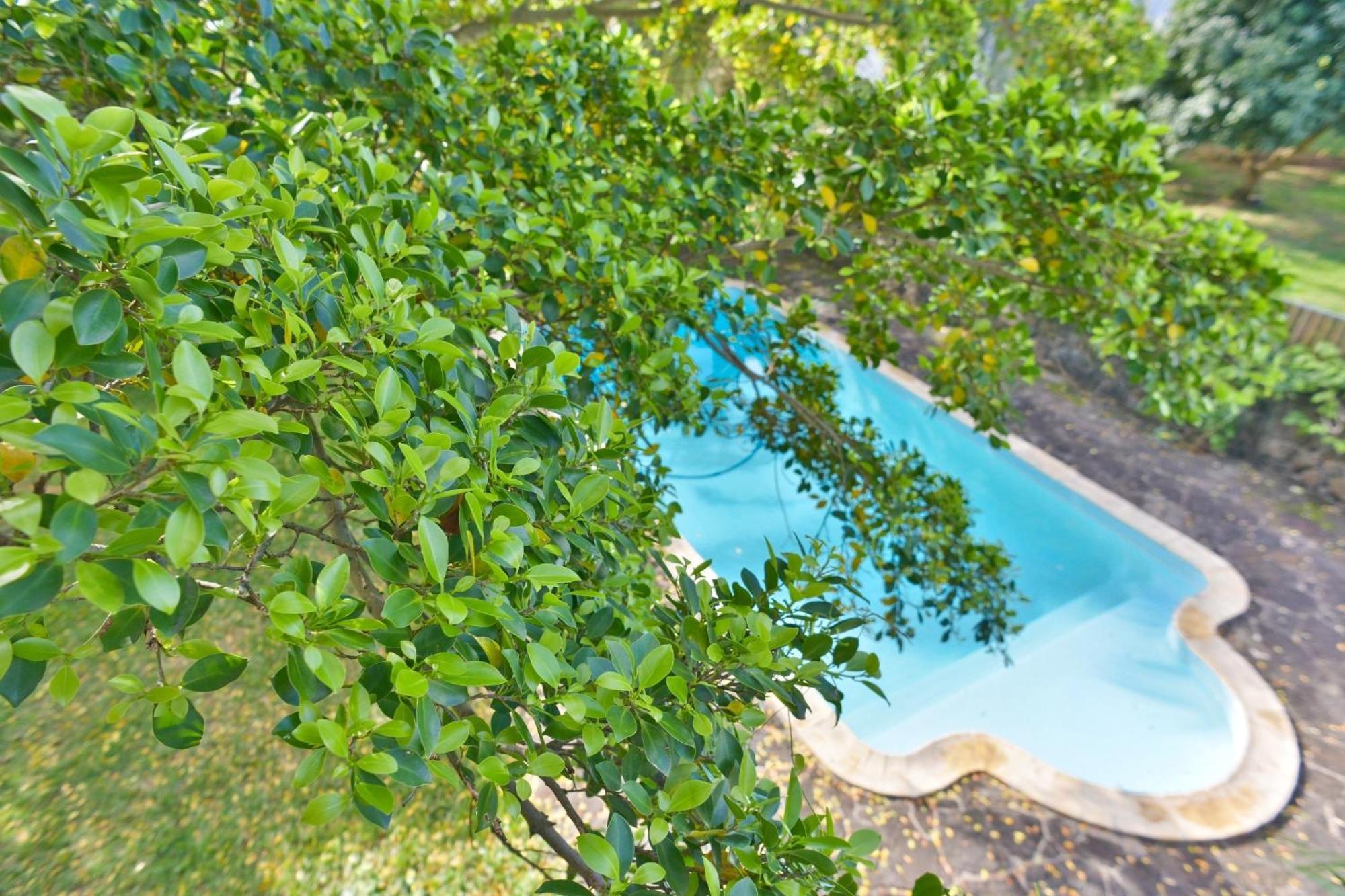 Tree Lodge Mauritius Belle Mare Exteriör bild