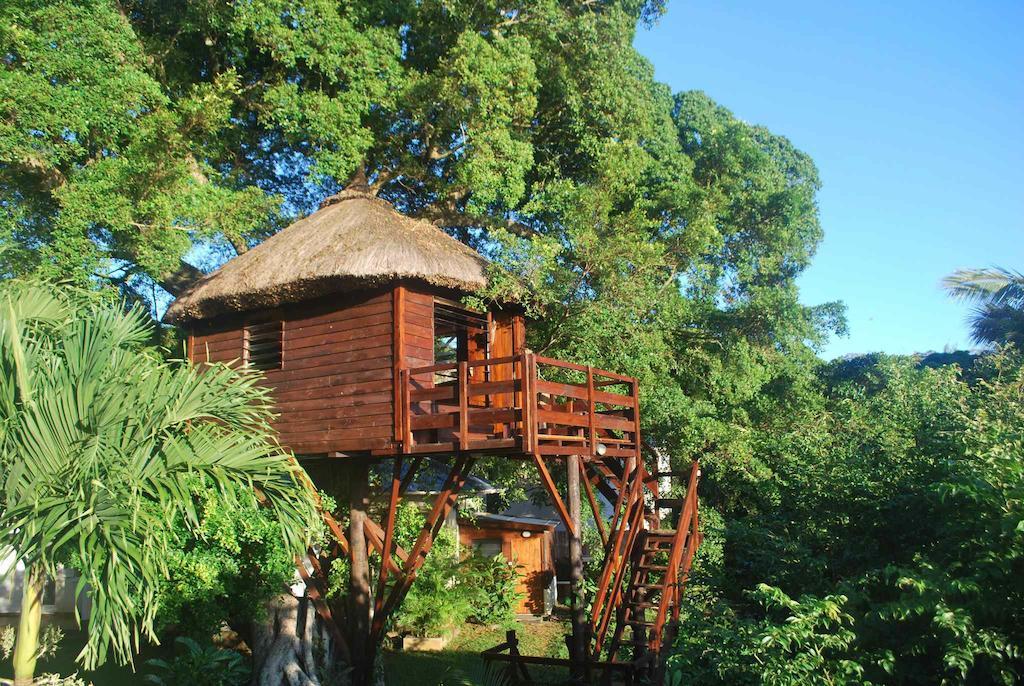 Tree Lodge Mauritius Belle Mare Rum bild